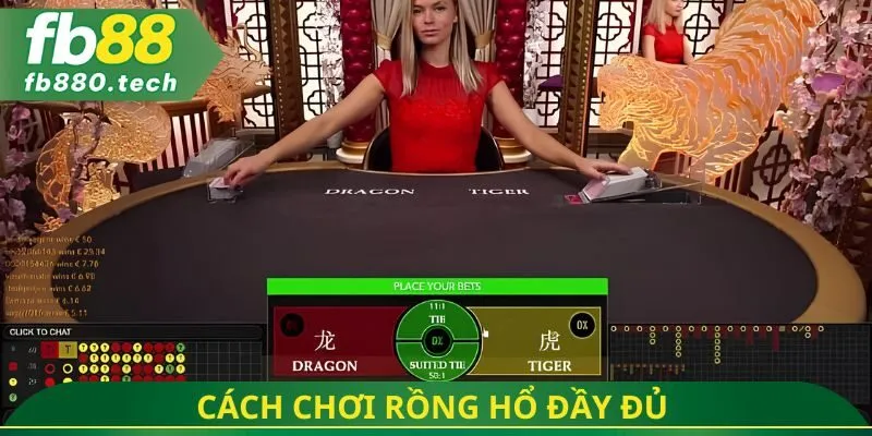 Cách chơi rồng hổ đầy đủ 