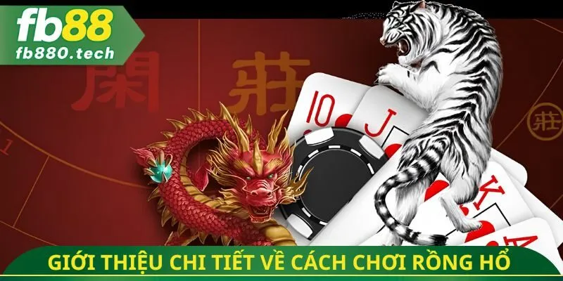 Giới thiệu chi tiết về cách chơi rồng hổ 