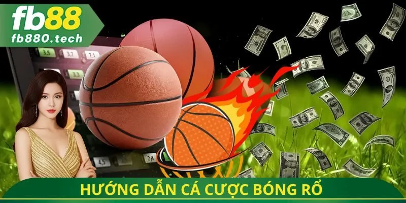 Hướng dẫn cá cược bóng rổ 