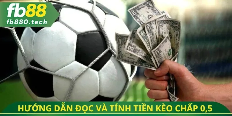 Hướng dẫn đọc và tính tiền kèo chấp 0,5 