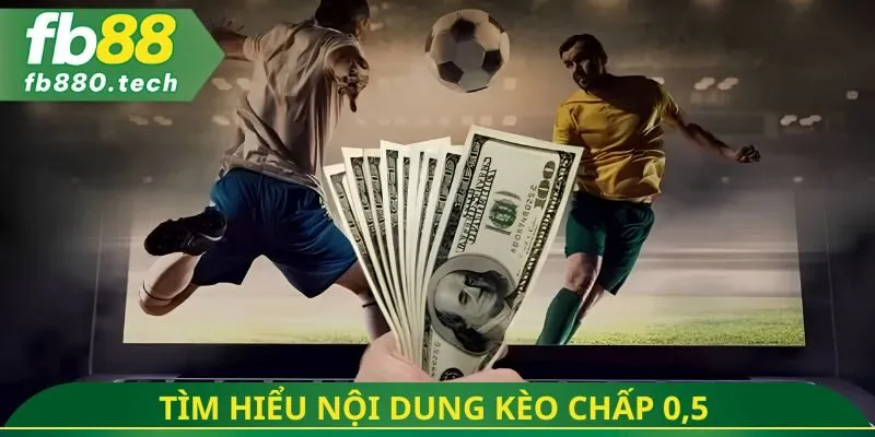 Tìm hiểu nội dung kèo chấp 0,5 