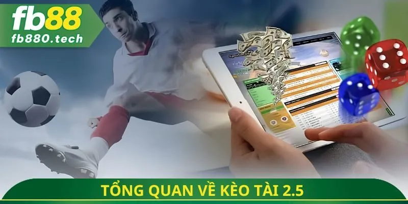 Tổng quan về kèo tài 2.5 